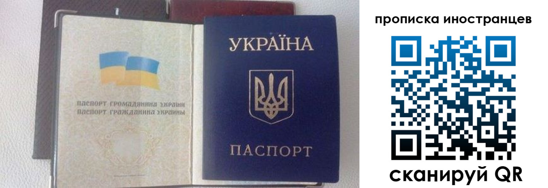 регистрация в Дорогобуже
